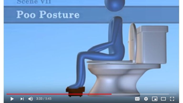 The Poo in Review (Part 2) - Poo Posture